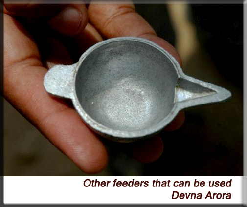 Devna Arora - Using an oil lamp to feed baby animals in an emmergency